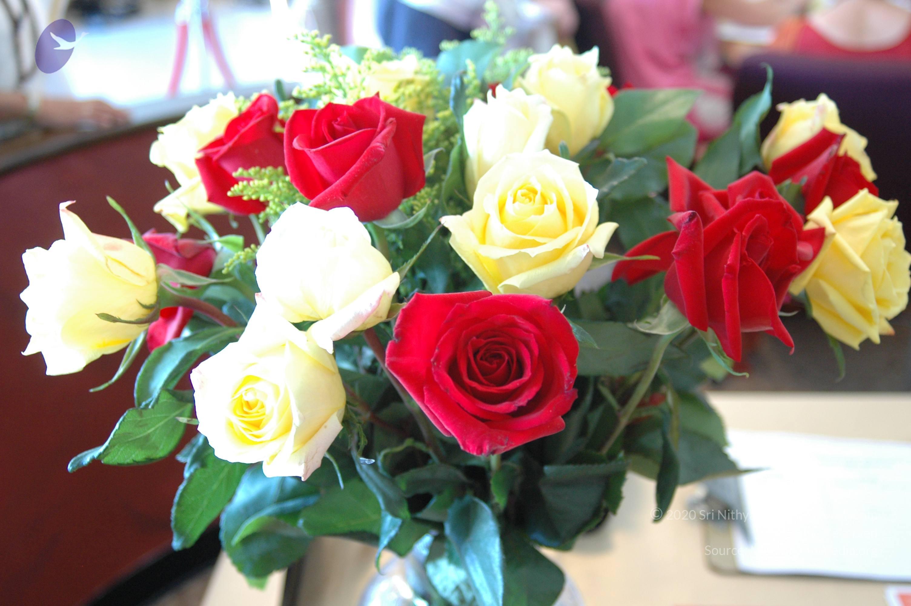 MC12th2007 278_CMP_WM